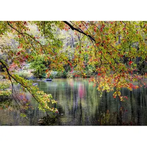 1000-piece puzzle Alipson Puzzle Point D Eau Et Arbre image-1