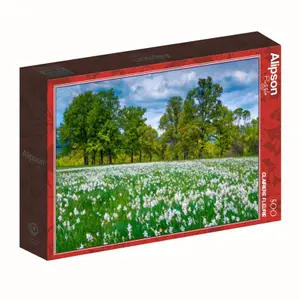Puzzle 500 elementów Alipson Puzzle Clairiere Fleurie