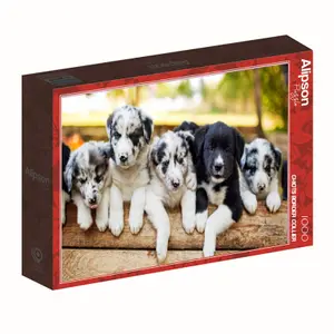 Puzzle de 1000 pièces Alipson Puzzle Chiots Border Collier image-1