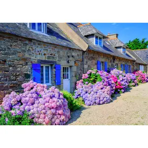 1000-piece puzzle Alipson Puzzle Maison Tradi Bretagne