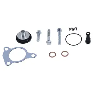 Motorcycle clutch spare parts All Balls Racing Gas Gas ES 700 [700] / Husqvarna 701 Enduro [701] image-0
