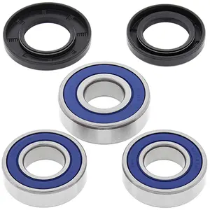 Rear bearing kit All Balls Racing 25-1066 image-0