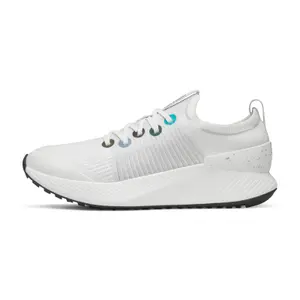 Women's Sneakers Allbirds Tree Glider