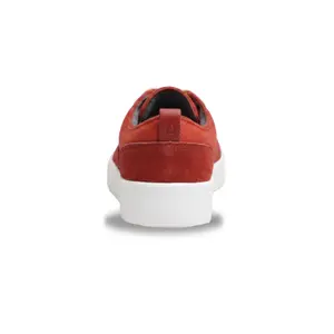 Women's Sneakers Allbirds Cruiser Coastal image-3