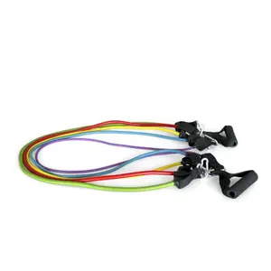 Bande élastique AllFreeWeight (x5) image-0