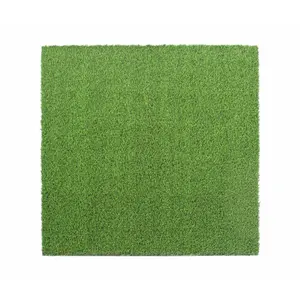 Synthetischer Rasen AllFreeWeight Top Floor image-1
