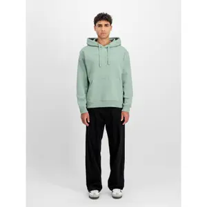 Hooded sweatshirt Alpha Industries DTM image-1