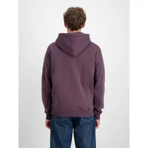 Hooded sweatshirt Alpha Industries Alpha Label image-2