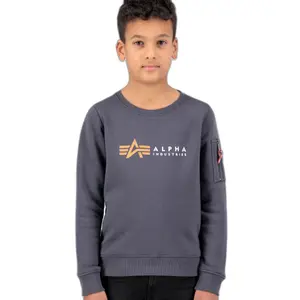 Παιδικό φούτερ Alpha Industries Label image-0