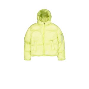 product/a/l/alpha-industries_148006-722_arctic-lime_1.jpg