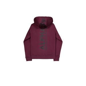 Hooded sweatshirt with print on the back Alpha Industries image-0