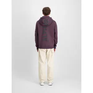 Bluza z kapturem z nadrukiem z tyłu Alpha Industries Rainbow Refl.Print image-1