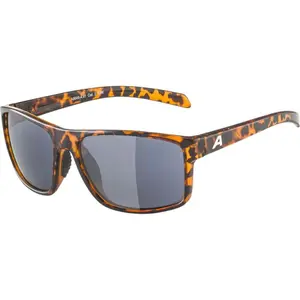 Gafas de sol Alpina Nacan I
