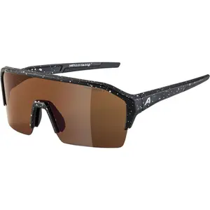 Gafas de sol Alpina RAM HR Q-lite