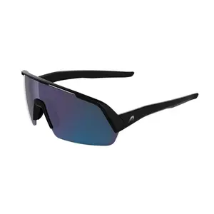 Gafas de protección Alpina Turbo HR