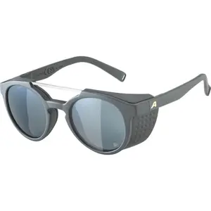 Gafas de sol Alpina Glace P