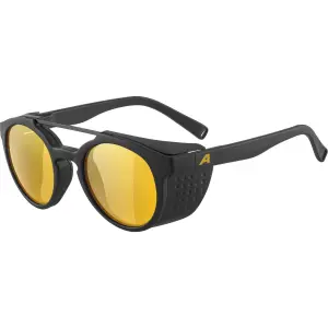Óculos de sol Alpina Glace P