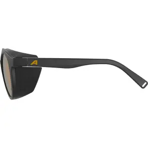 Óculos de sol Alpina Glace P image-2
