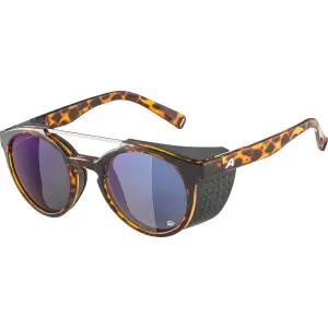 Óculos de sol Alpina Glace P