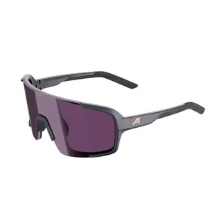 Gafas de sol Alpina Lumin