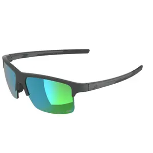 Gafas de sol Alpina Eagle Q-lite