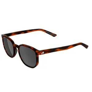 Gafas de sol Alpina Dimont