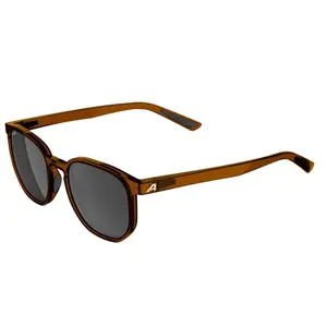 Gafas de sol Alpina Dimont