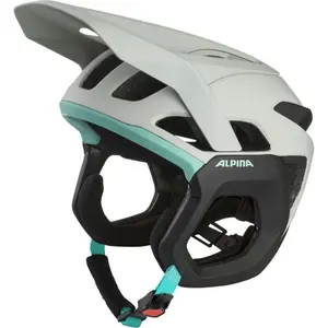 Casque Alpina Root