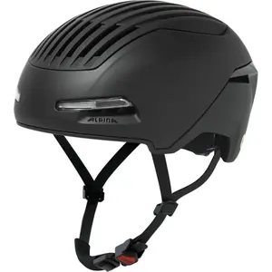 Hjelm Alpina Brighton MIPS