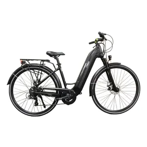 Elektrokolo s integrovanou baterií Alpina Evol Q1 W