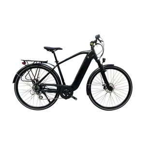 Elektrokolo s integrovanou baterií Alpina Evol Q1 M