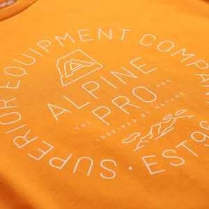T-Shirt Alpine Pro Dewero image-4