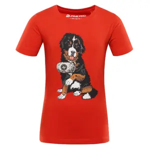 T-Shirt Alpine Pro Smallo image-0