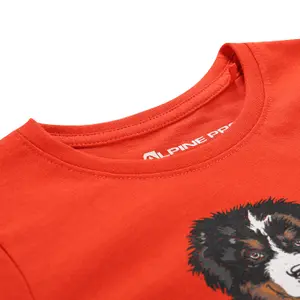 T-Shirt Alpine Pro Smallo image-3