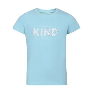 T-Shirt Alpine Pro image-0