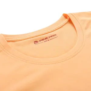 T-Shirt Alpine Pro Termesa image-3