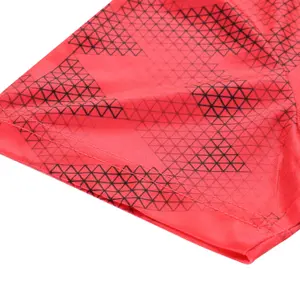 Trikot Damen Alpine Pro Quatra image-2