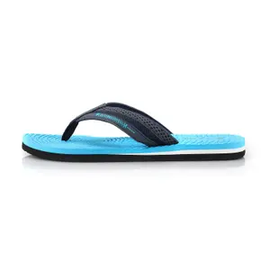 Slides Alpine Pro Bern image-1