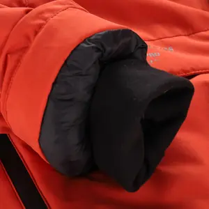 Jacke Alpine Pro Werd 2 image-3