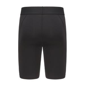 Skibroek Alpine Pro Imec image-1