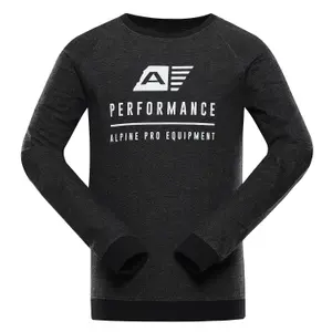 Sweatshirt Alpine Pro Terr image-0