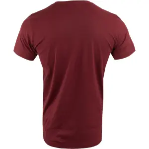 T-Shirt Alpine Pro Geter image-1