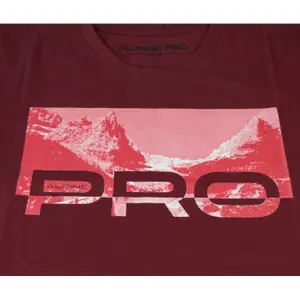 T-Shirt Alpine Pro Geter image-2