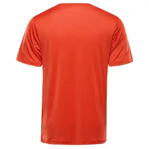 Maillot Alpine Pro Basik image-1