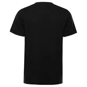 T-shirt Alpine Pro Bolen 2 image-1