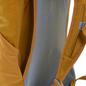 Rugzak Alpine Pro Regre image-4