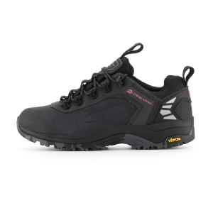 Wandelschoenen Alpine Pro Spidere