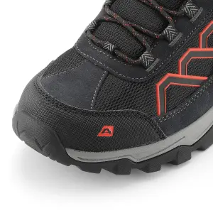 Hiking shoes Alpine Pro Gimie 2 image-1