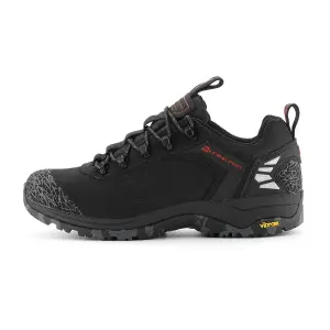 Hiking shoes Alpine Pro Spidere