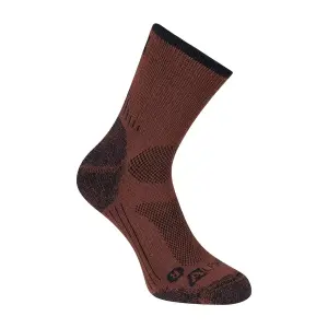 Κάλτσες Alpine Pro Kerowe image-1